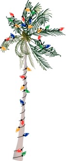Palm Tree Strung with Lights