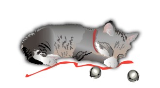 Kitten with Bells