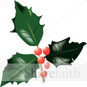 Holly Leaves and Berries