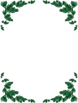 Pine Bough Corners