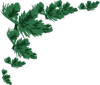 Green Pine Bough Corner