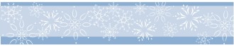 Elegeant Snowflake Footer Bar