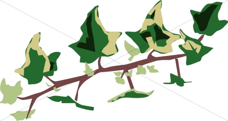 christmas ivy clipart - photo #47