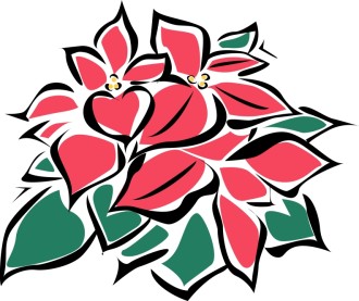 Abstract Poinsettia Flowers