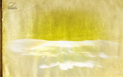 Nature Field Free Twitter Background