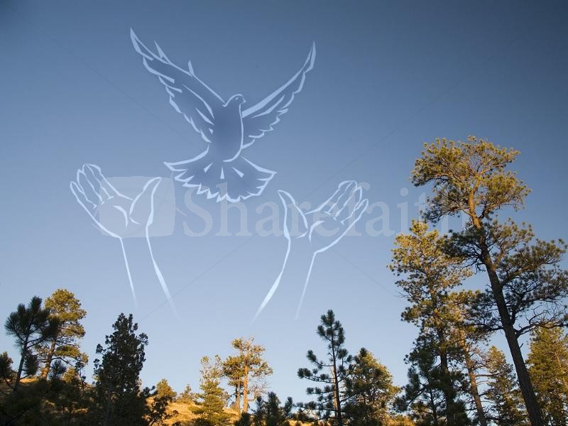 Arms Reaching for Bird