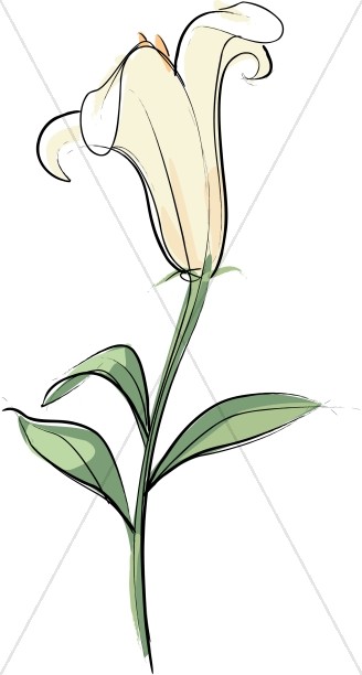 easter lily clipart black and white - photo #40