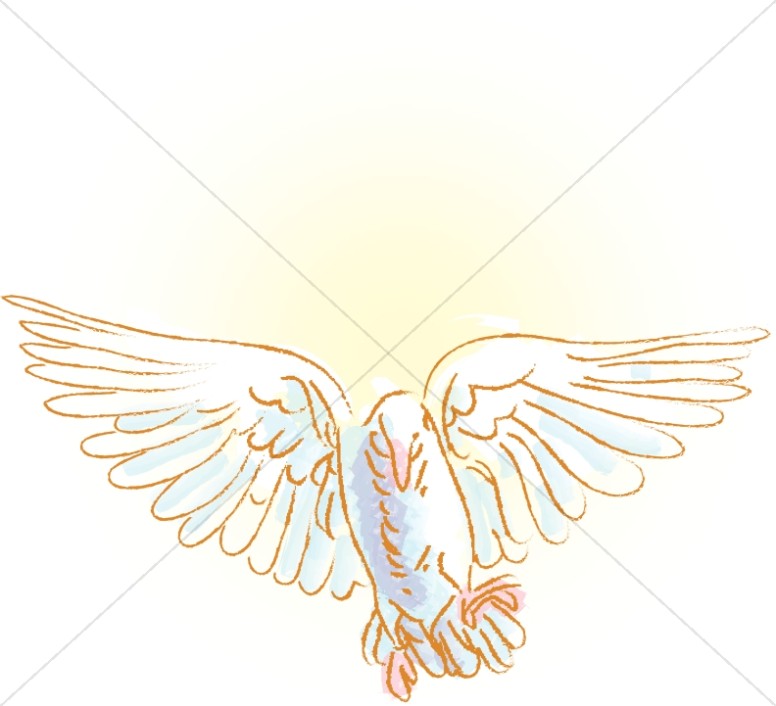 Gold Dove Image