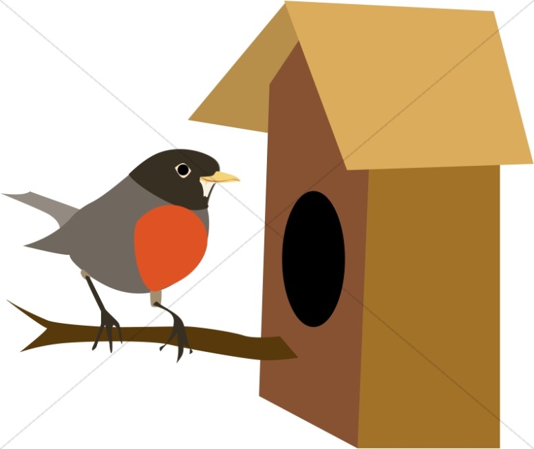 Robin Finds a Bird House Thumbnail Showcase