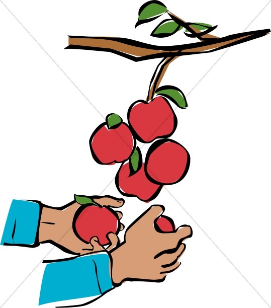 Hands Harvesting Apples Thumbnail Showcase