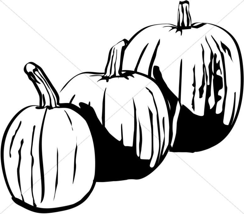 Three Black and White Pumpkins Thumbnail Showcase