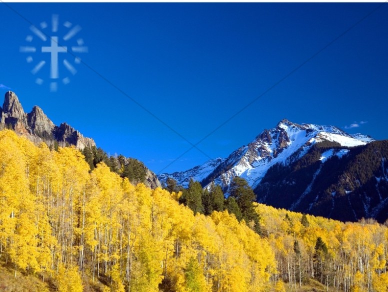 Yellow Aspen with Blue Sky and Cross Thumbnail Showcase
