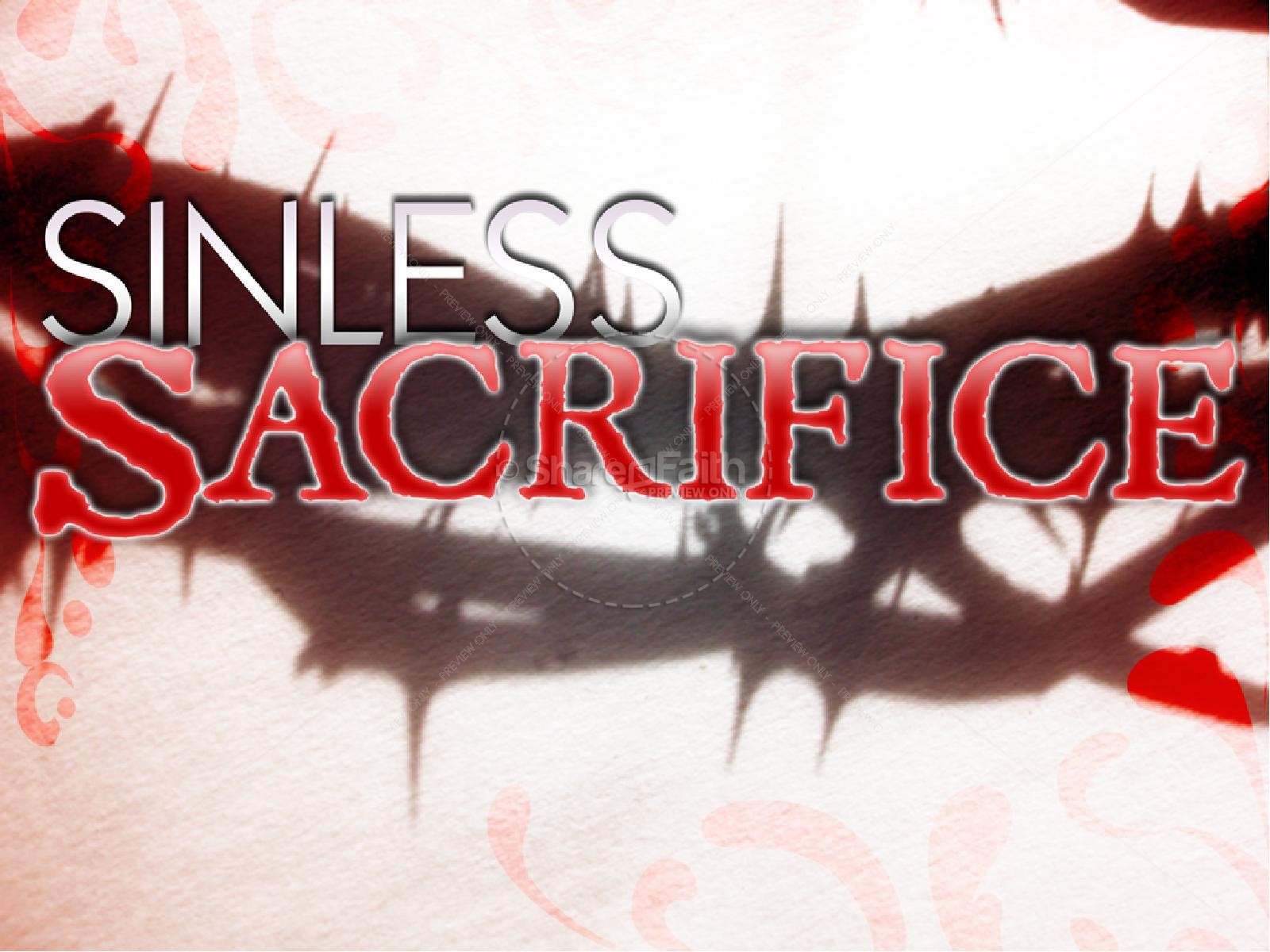 Sinless Sacrifice | slide 1