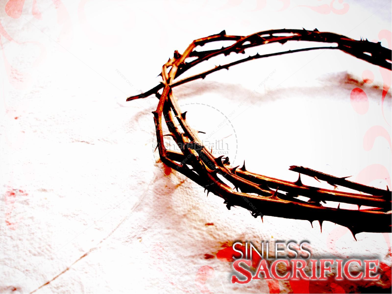 Sinless Sacrifice | slide 4