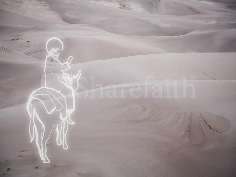 Jesus on a Donkey with Matthew Verse
