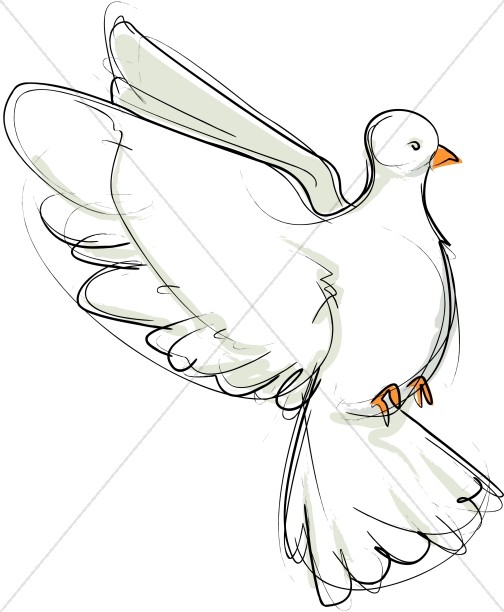 Flying Dove Sketch Thumbnail Showcase