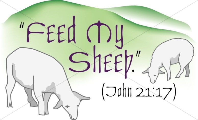 Feed My Sheep Thumbnail Showcase