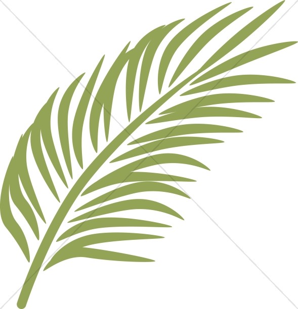 Single Palm in Calming Green Thumbnail Showcase