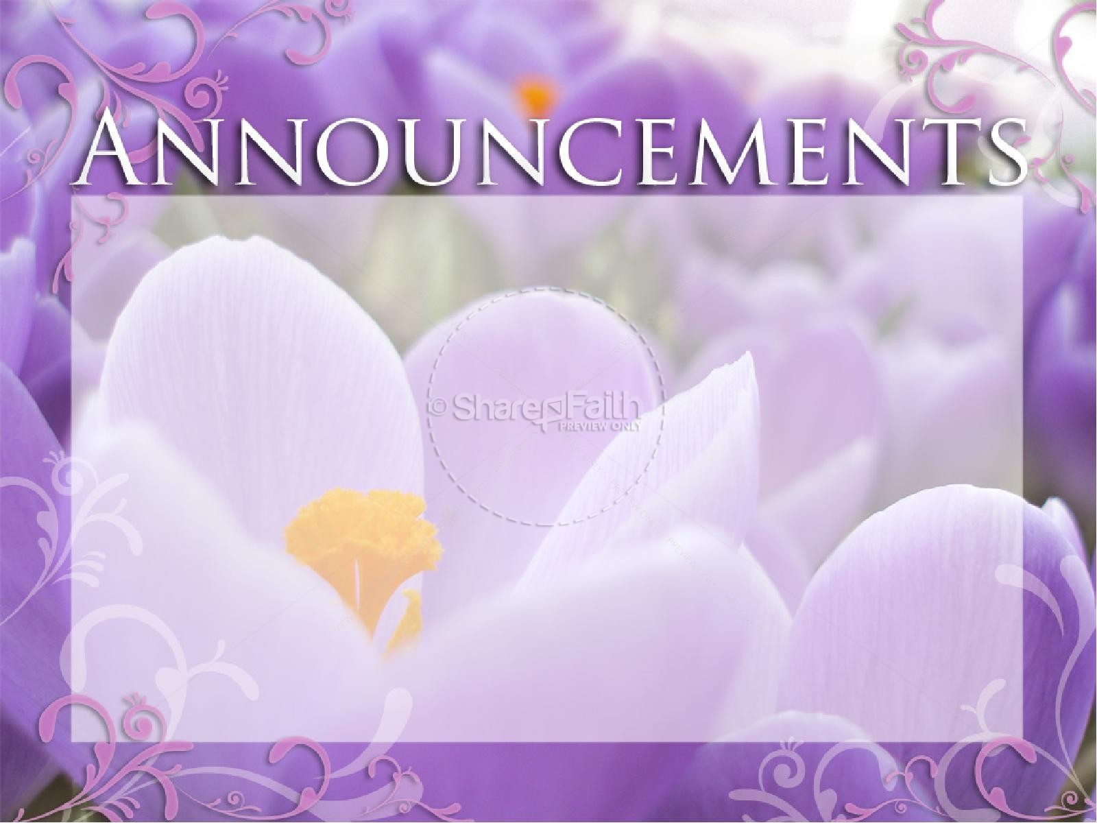 Announcements with Purple Flowers | slide 1