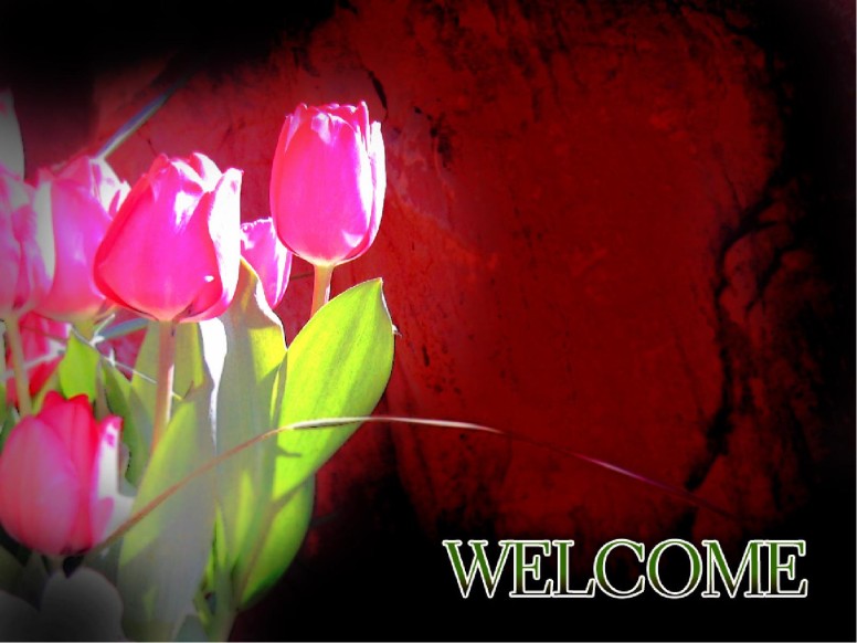 Tulips with Welcome