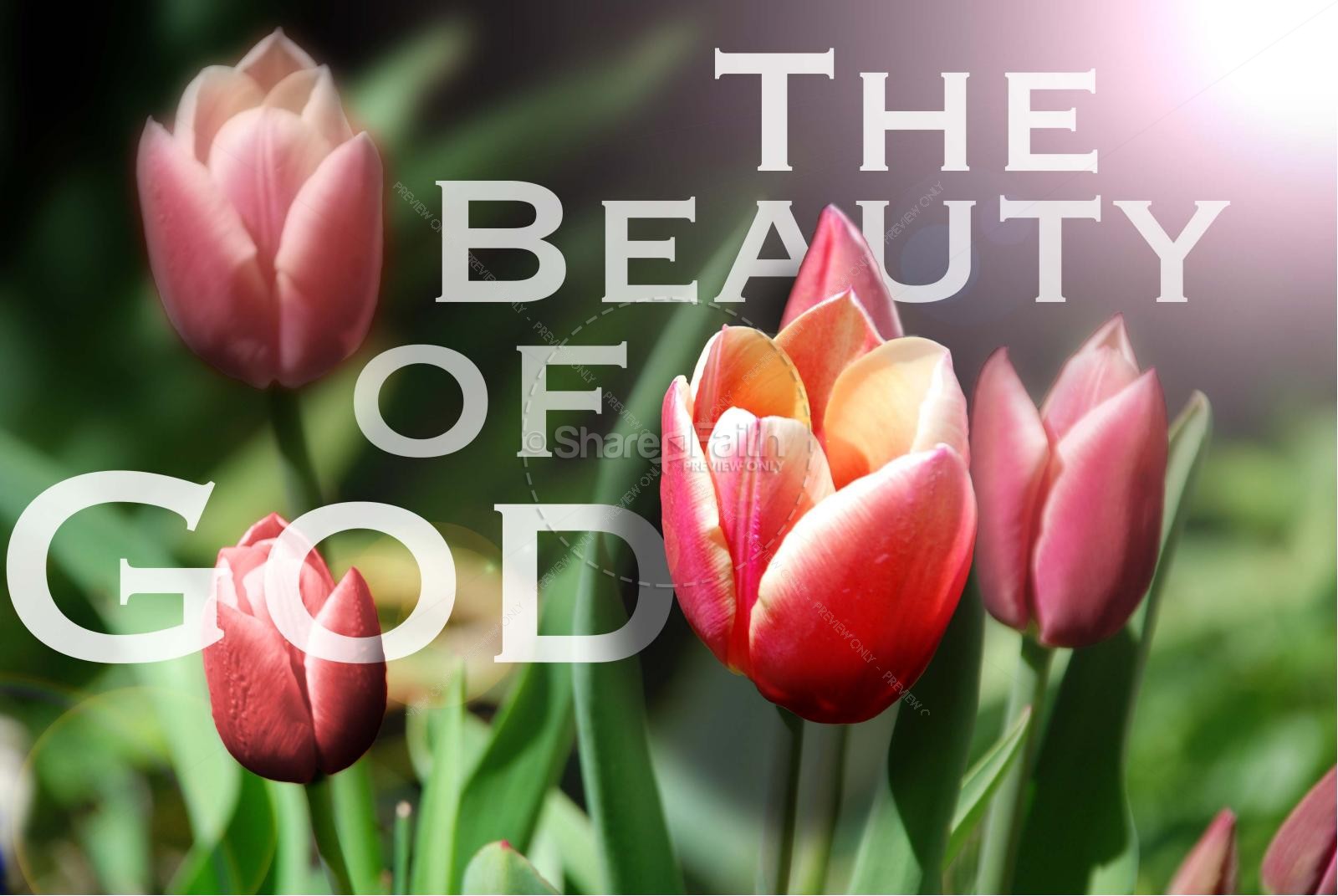 Beauty of God with Tulips Thumbnail 1