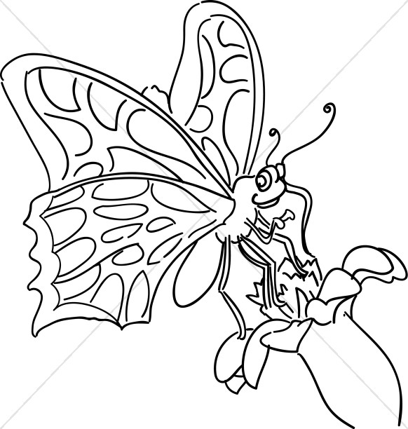 Cartoon Butterfly Thumbnail Showcase