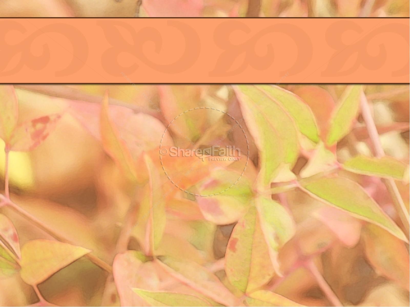 Harvest Pumpkins PowerPoint