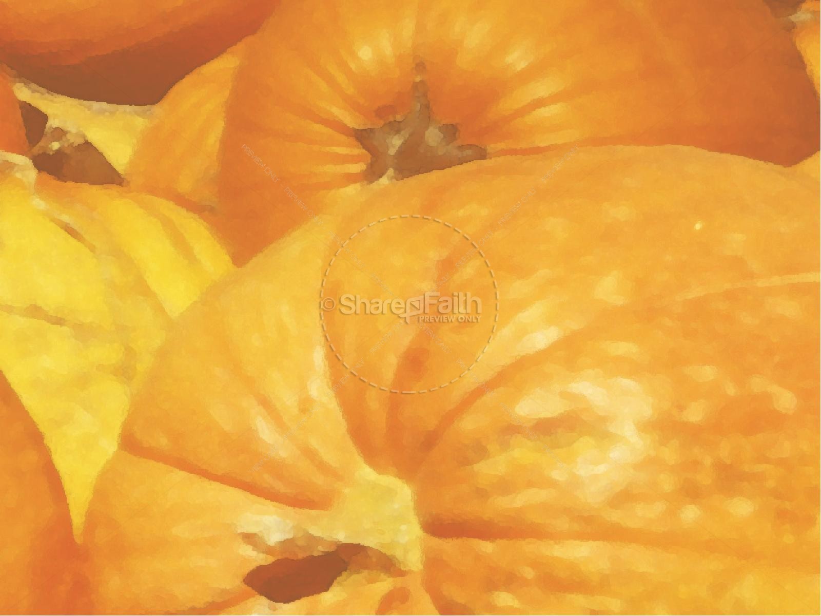 Harvest Pumpkins PowerPoint