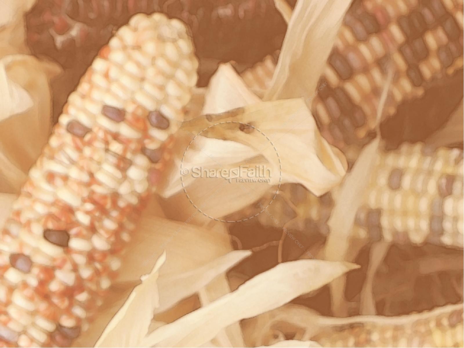 Harvest Pumpkins PowerPoint