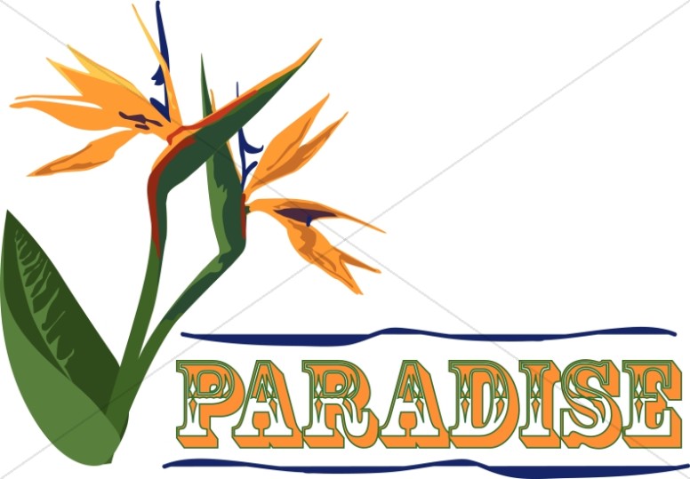 Paradise Clipart Thumbnail Showcase