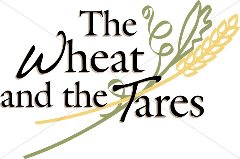 Parable of the Wheat and the Tares Thumbnail Showcase