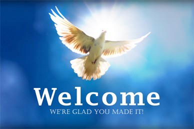 Welcome Video Splash Screen Dove In The Clouds