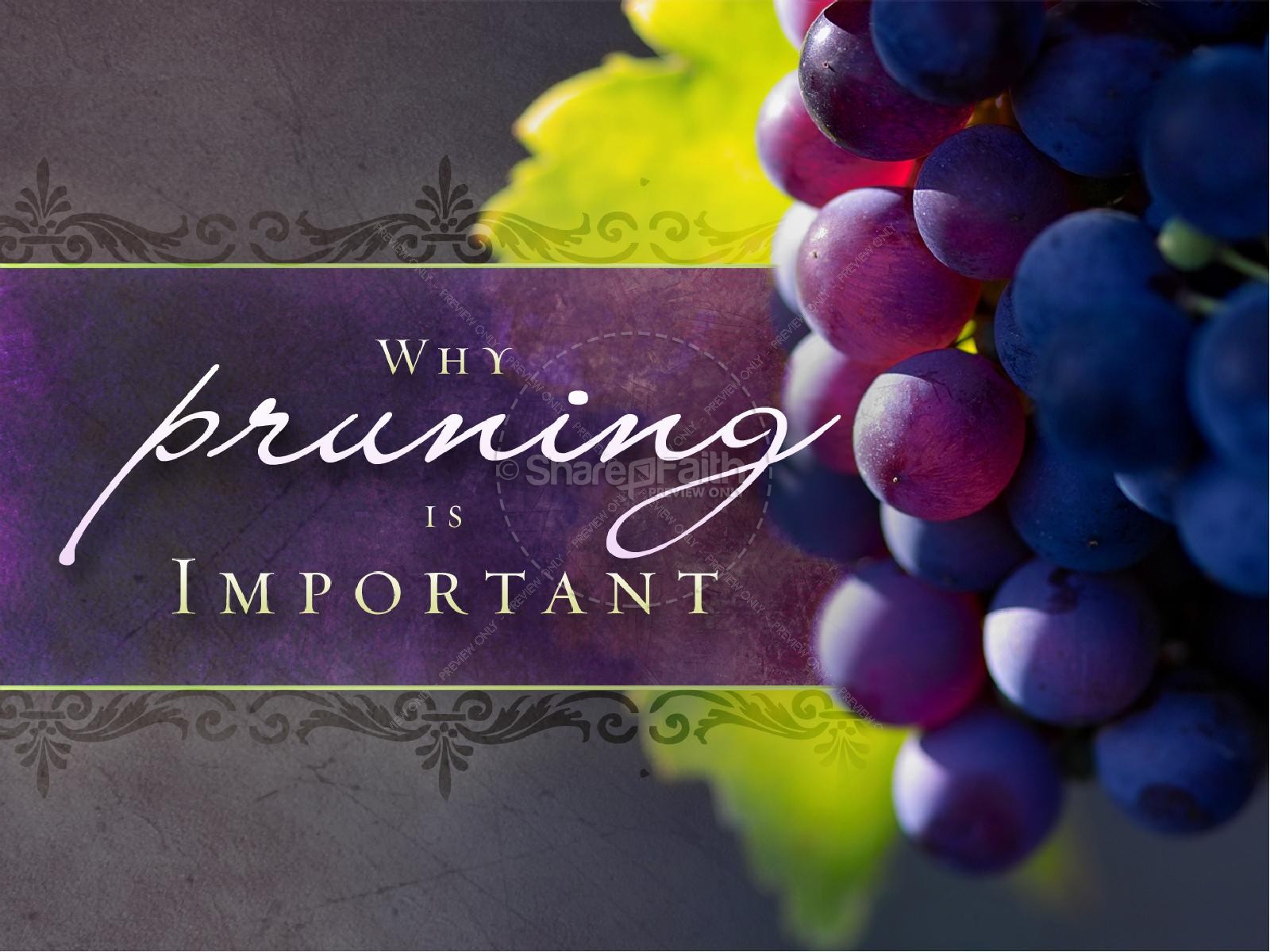 Pruning Is Important Christian PowerPoint Thumbnail 2
