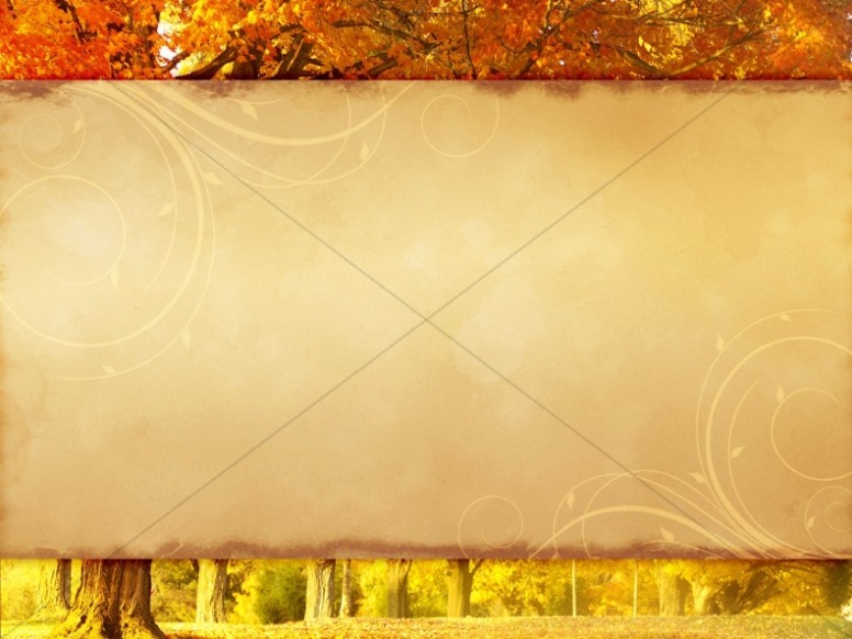 Fall Trees and Parchment Worship Background