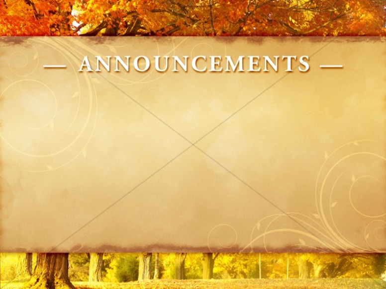 Autumn Woods Announcement Background Slide Thumbnail Showcase