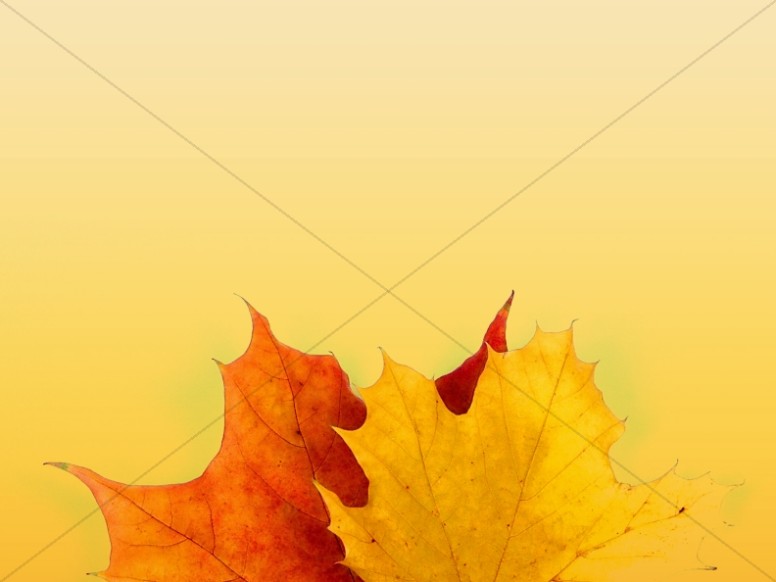 Colors Of Fall Christian Background Thumbnail Showcase