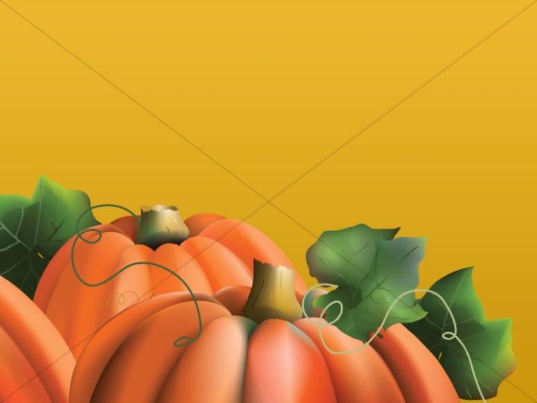 Pumpkins On The Vine Background Slide Thumbnail Showcase