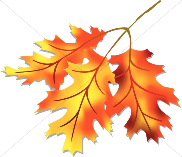 Three Fall Leaves Clipart Thumbnail Showcase