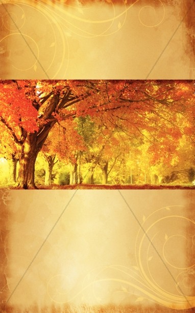 Autumn Trees Bulletin Cover Thumbnail Showcase