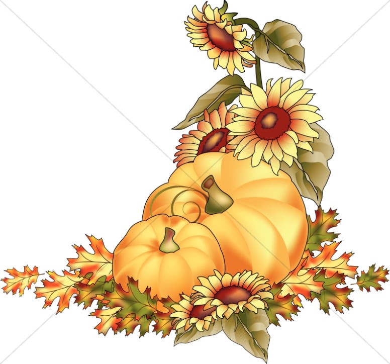 Pumpkins At Harvest Color Clipart