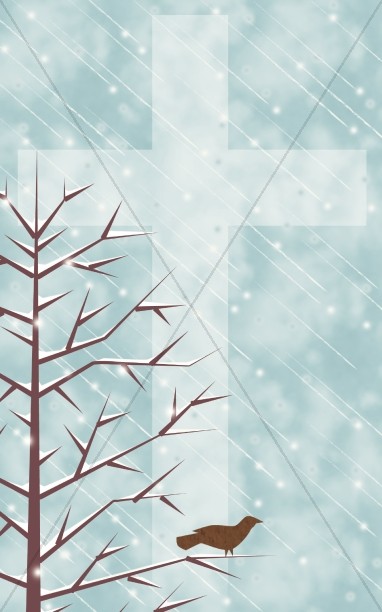 Cross and a Bird in a Snowy Tree Bulletin Cover Thumbnail Showcase