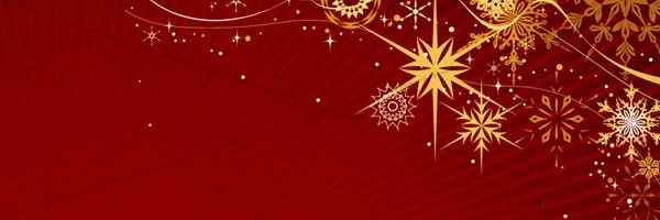 Beautiful Snowflake Christmas Email Banner