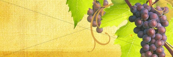 Grapes Email Banner