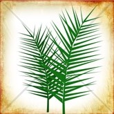 Palm Sunday Branches Email Image
