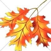 Orange and Gold Autumn Leaves Email Image