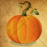 Colorful Pumpkin Email Image