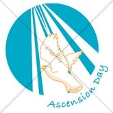 Ascension Day Dove Email Salutation
