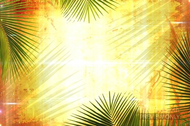 Palm Sunday Branches Worship Video