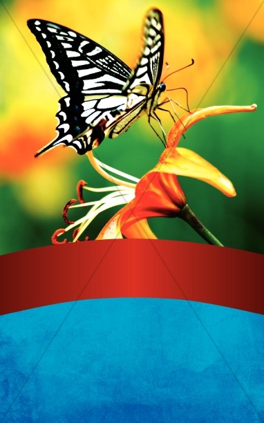 Butterfly Bulletin Cover Thumbnail Showcase