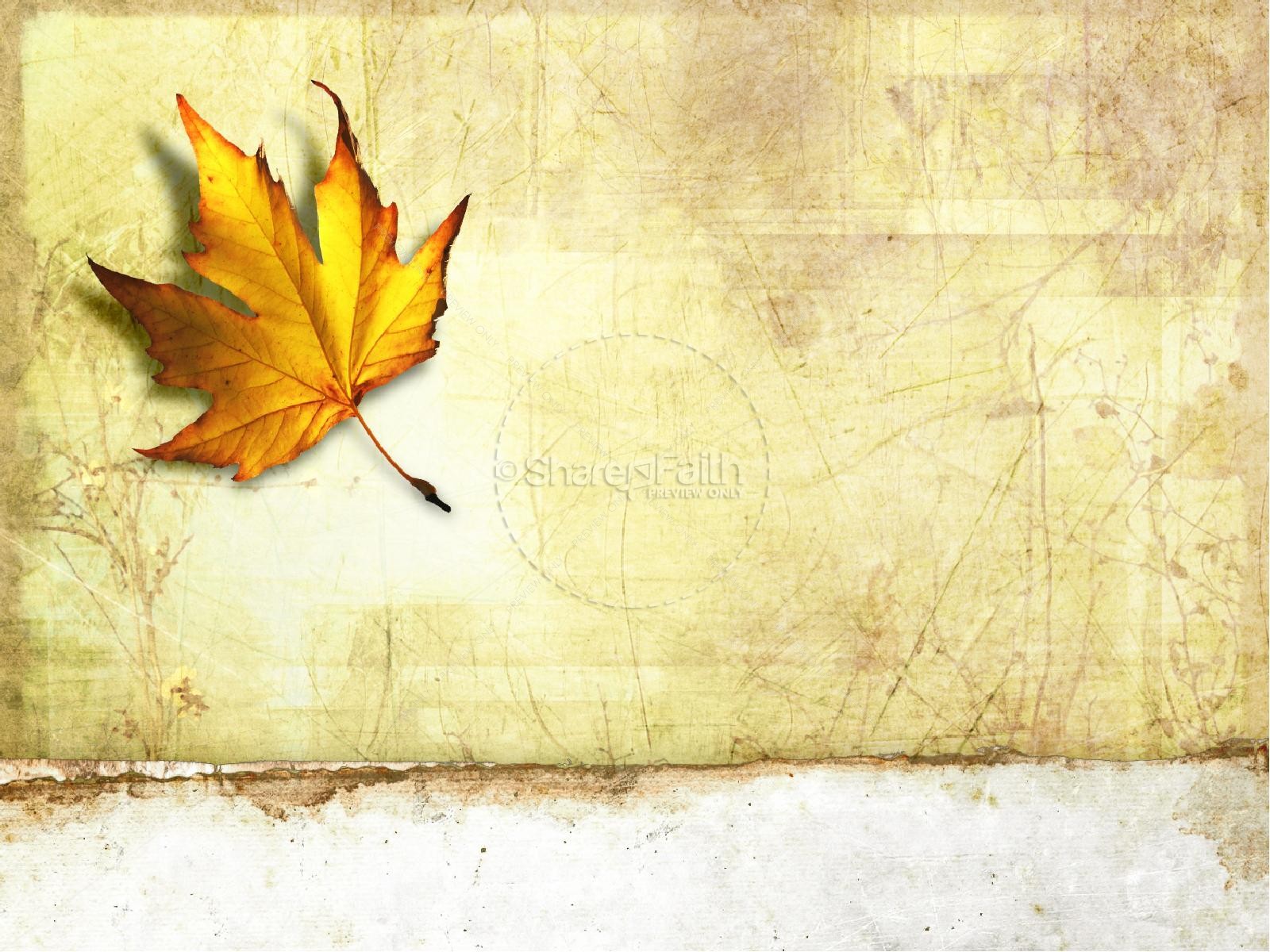 Autumn PowerPoint Template | slide 6